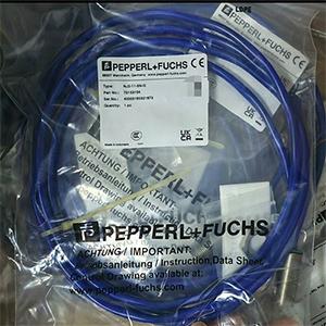 Pepperl Fuchs NJ2-11-SN-G Inductive sensor